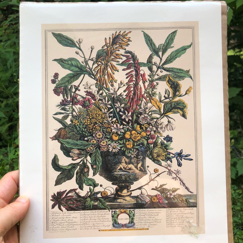 Set of 4 Vintage Arthur Kaplan Flower Prints